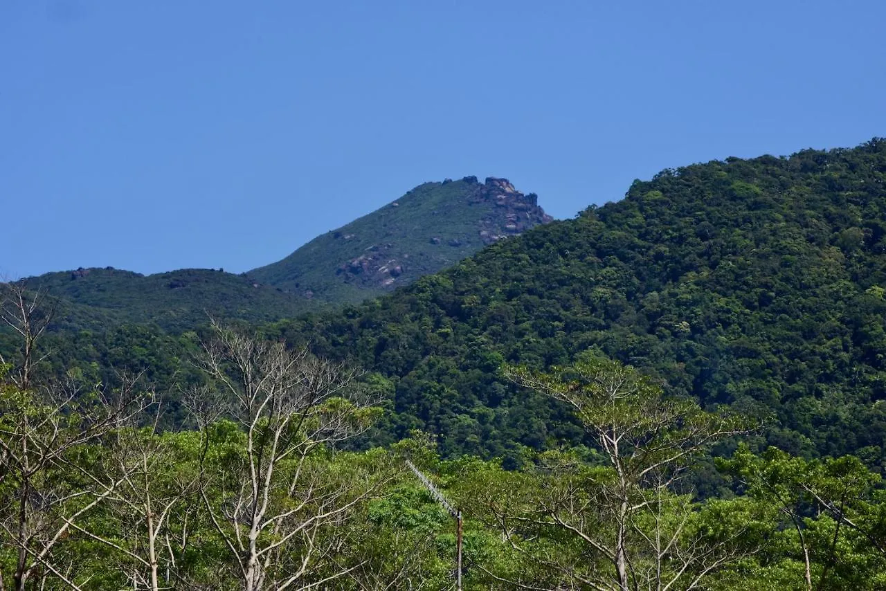 Daintree Peaks Eco Stays 0*,